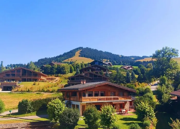 Studio Mont D'Arbois Apartment